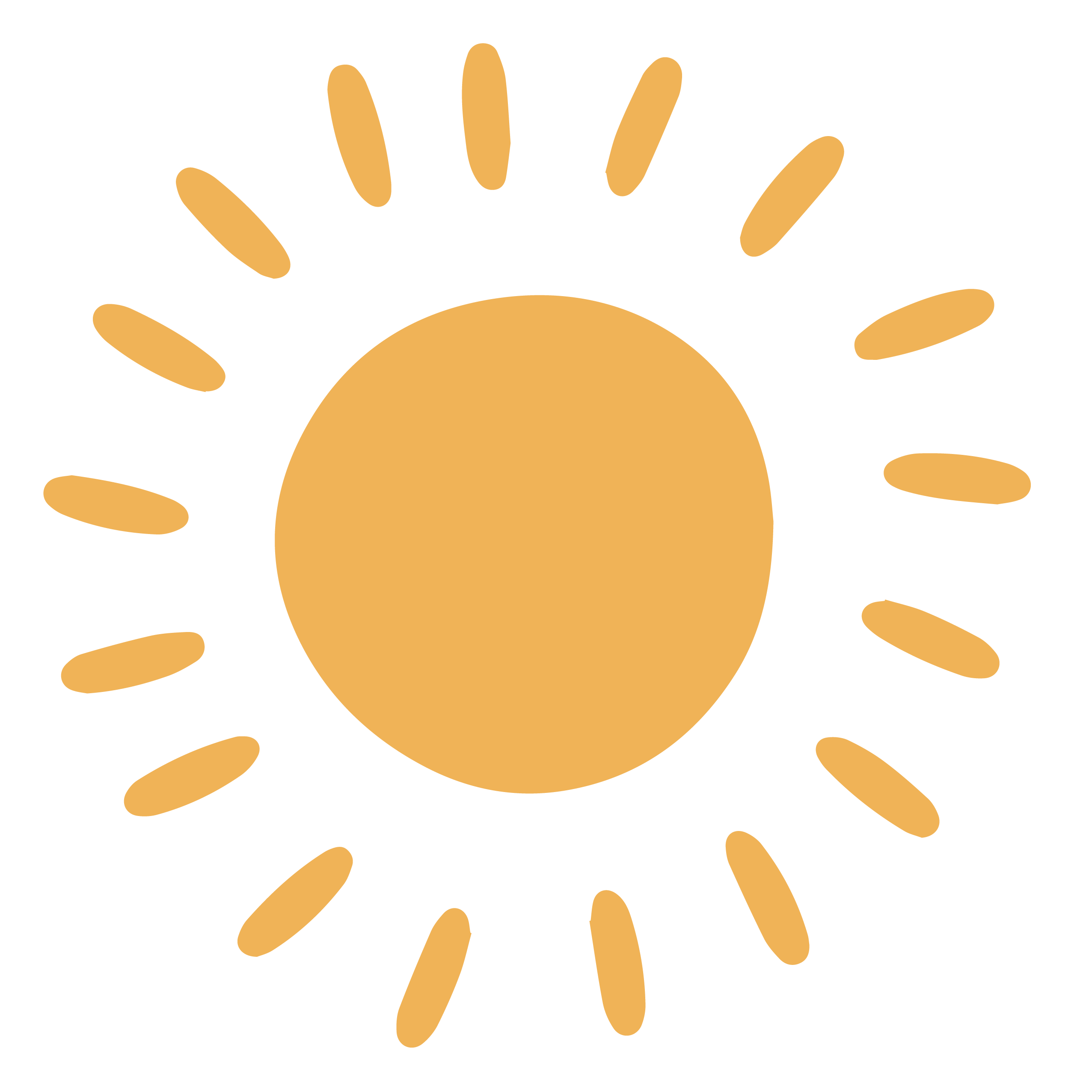 sole